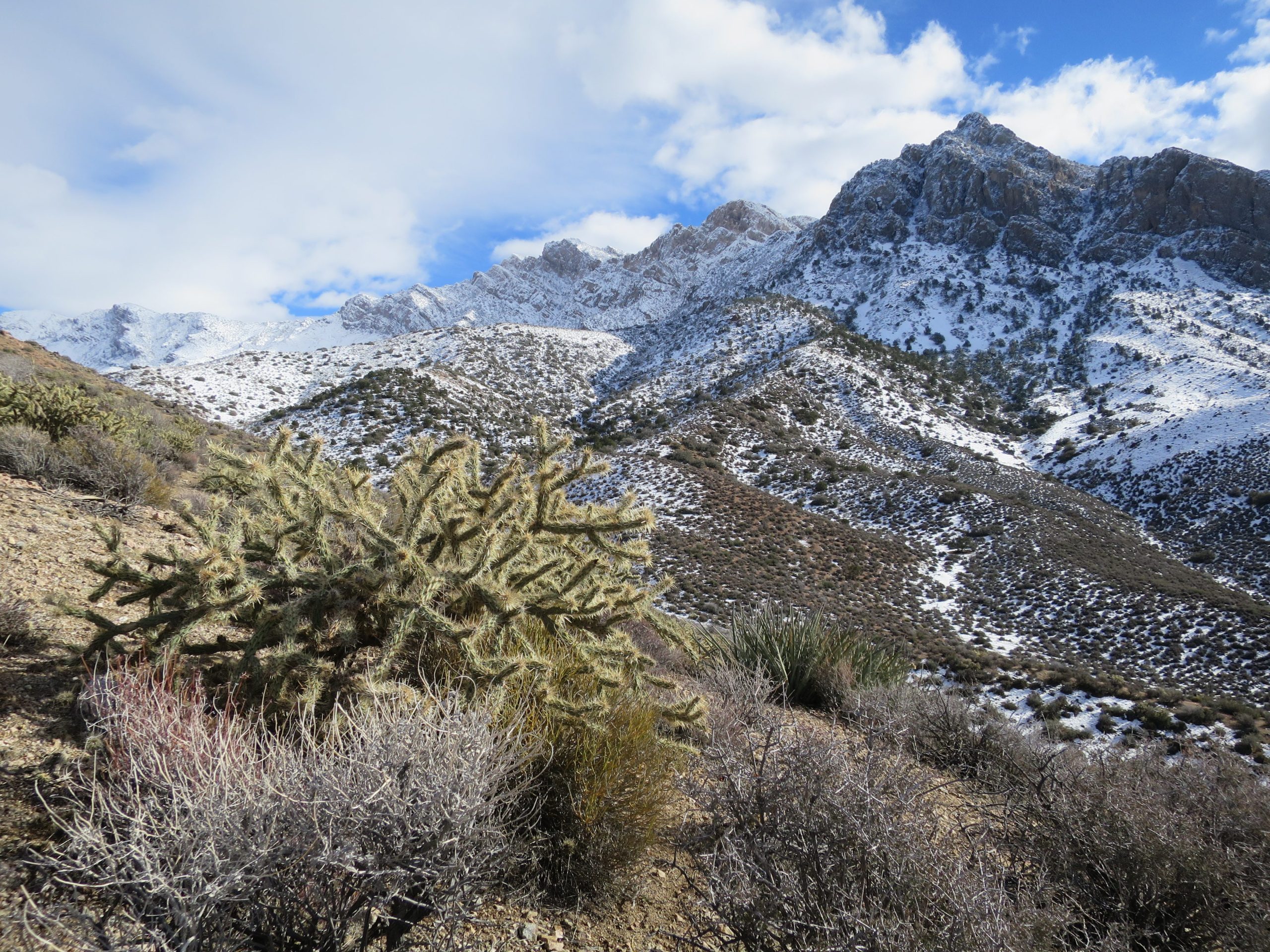 Snowy Virgin Mountains