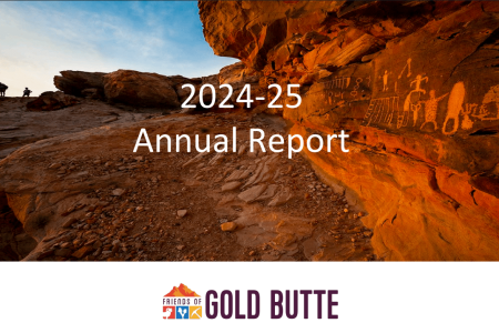 Our 2024-25 Annual Report is out – take a look!
