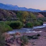 DAY 1 of 2 Bioblitz Virgin River Watershed Fall 25