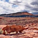 Friends of Gold Butte Open House
