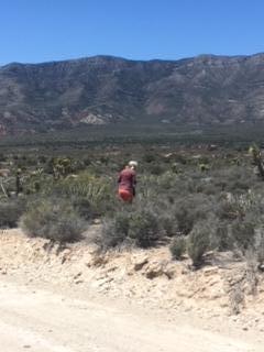 Driving Tour May 2018 18 (1)