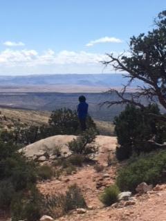 Driving Tour May 2018 5 (1)