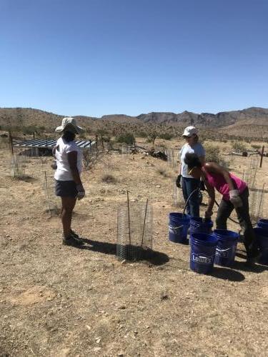 NPLD2018 IMG 0919 Jaina