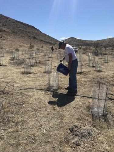 NPLD2018 IMG 0921 Jaina